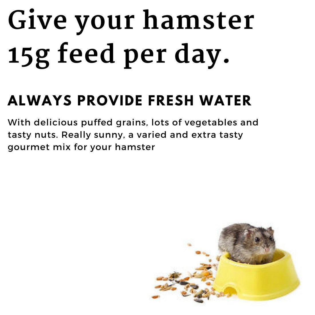 Versele Laga Crispy Muesli Hamster 400g [VL461720]