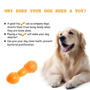 Rubber Squeaky Dog Bone Interactive Dog Toy for Small and Medium