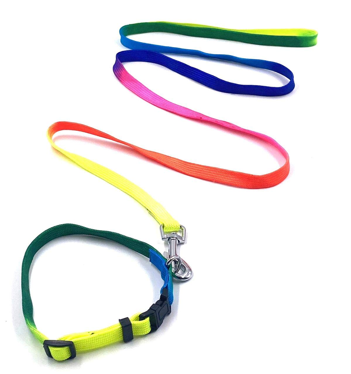 Gorilla Pets Rainbow Color Designed Belt for Your Puppy & Small Dog Collar Belt, Dog Collar & Leash