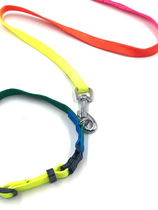 Gorilla Pets Rainbow Color Designed Belt for Your Puppy & Small Dog Collar Belt, Dog Collar & Leash