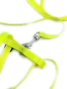 Dog Harness with Leash (Green)