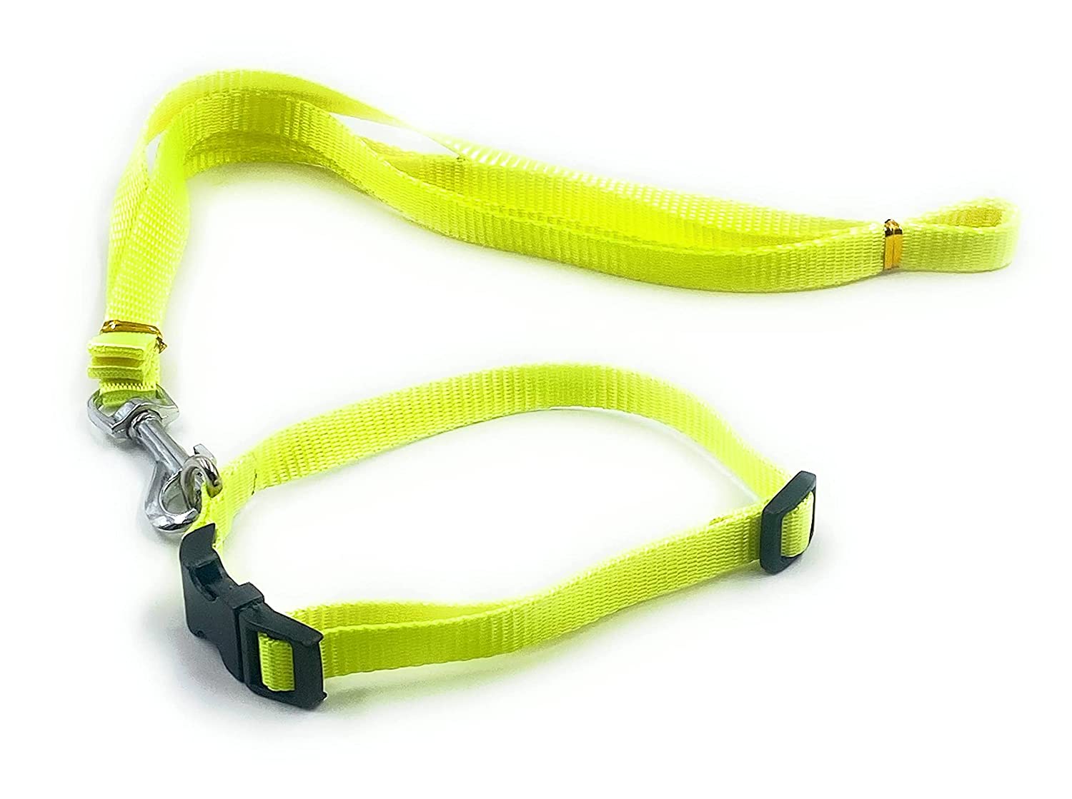 Dog Collar with Leash Half inch neon Color (Grey)