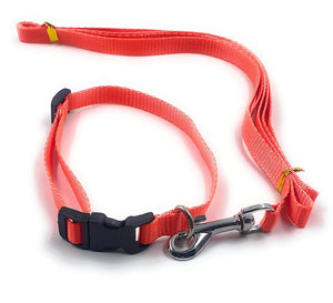 Gorilla pets Dog Collar with Leash Half inch neon Color (Orange)