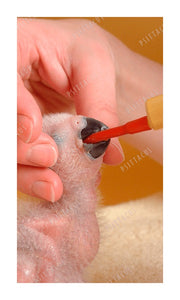 psittacus Bird Hand Feeding red Soft Tube