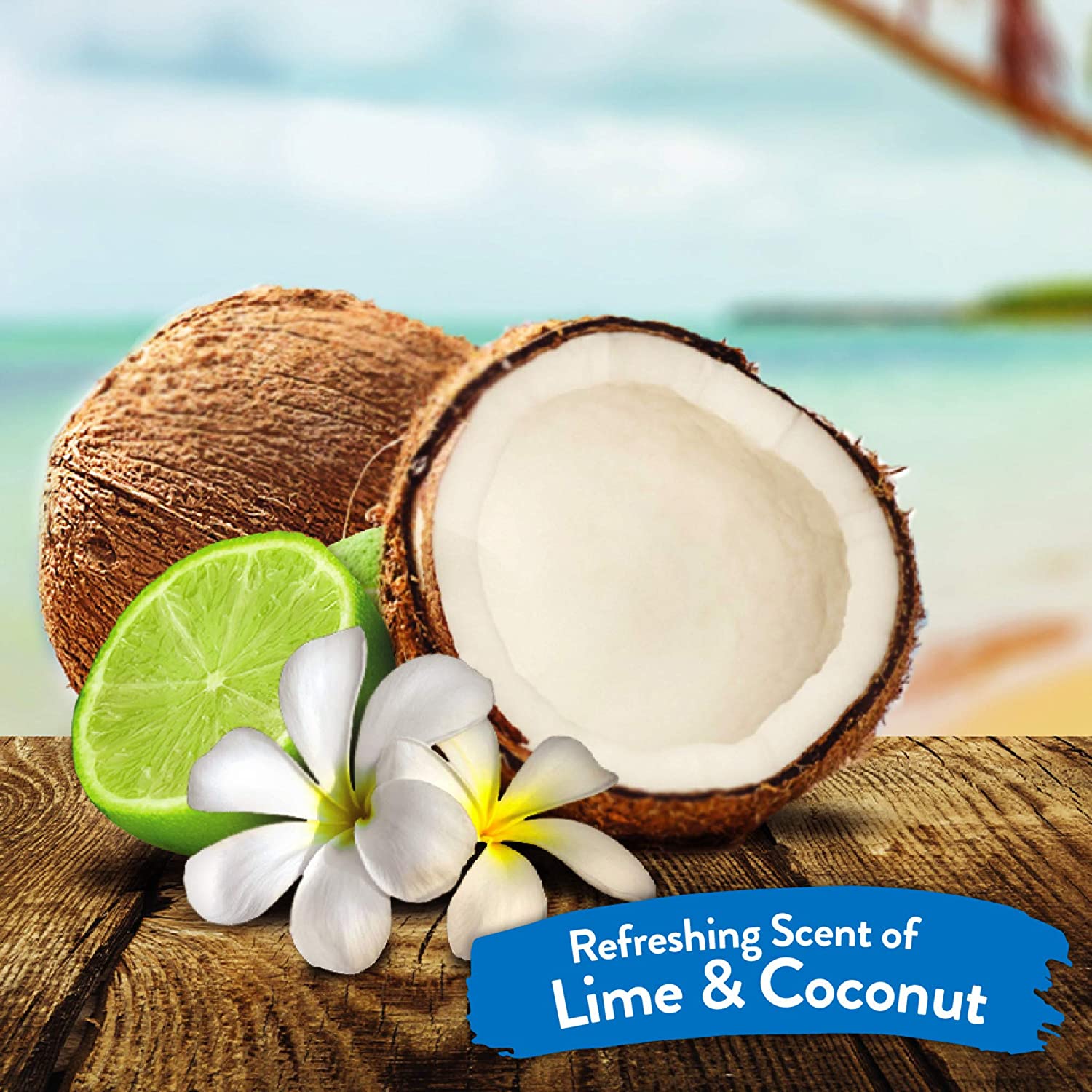 Tropiclean Shampoo, Lime Coconut, 355 ml…