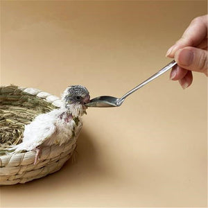 Bird Parrot Feeding Spoon Stainless Steel Medicine Spoons Hand Feeding Spoons Feeder Animals Care Tool for Pet Peony Cockatiel Rabbit Hamster Silver