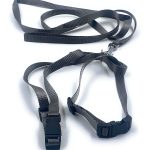 Dog Harness with Leash (Grey)