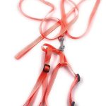 Dog Harness with Leash (Orange)
