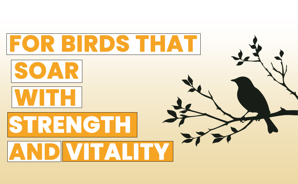 Multitek Powder 100gm - Image 4