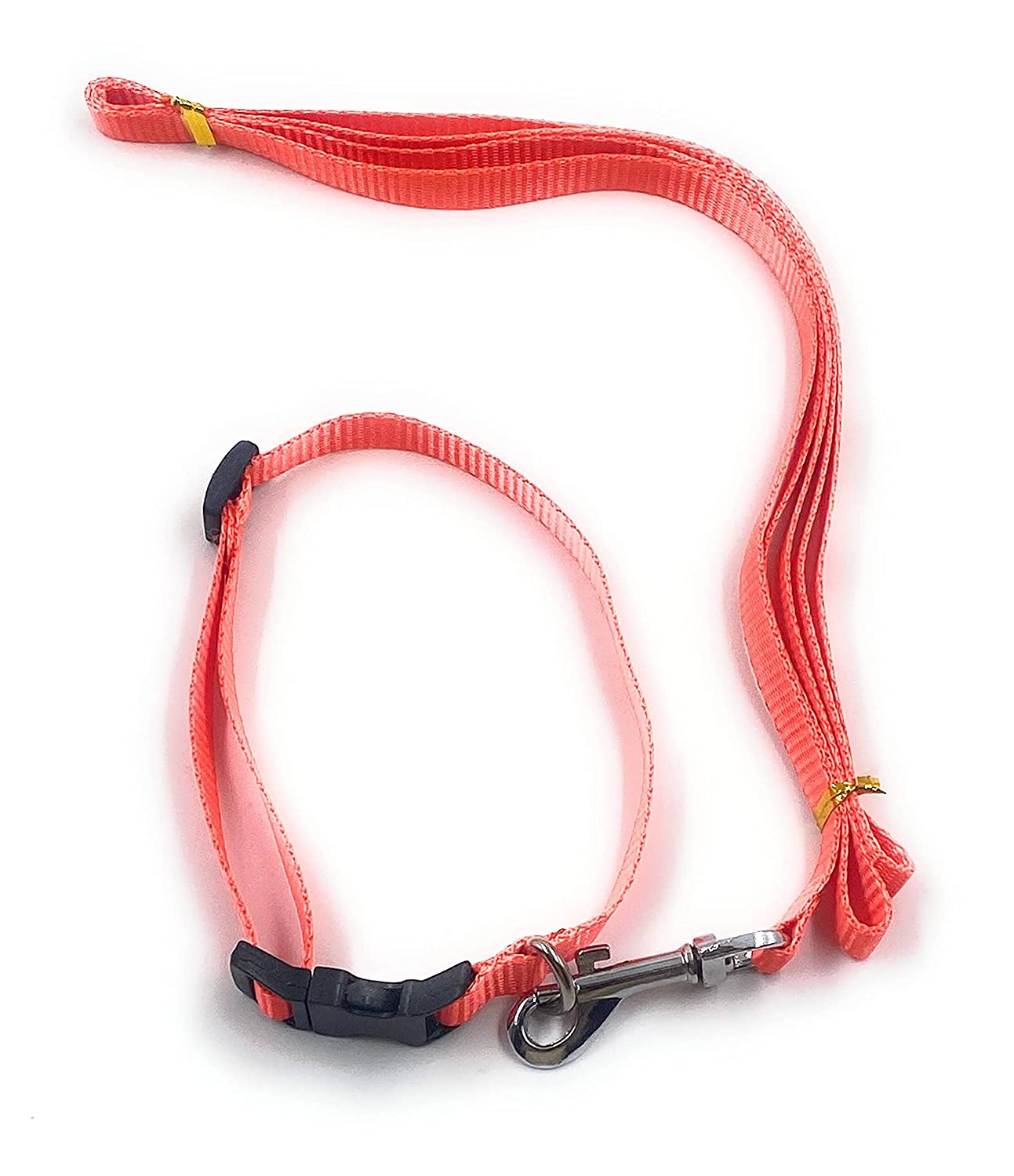 Dog Collar with Leash Half inch neon Color (Grey) - Image 6