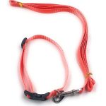 Gorilla pets Dog Collar with Leash Half inch neon Color (Orange)