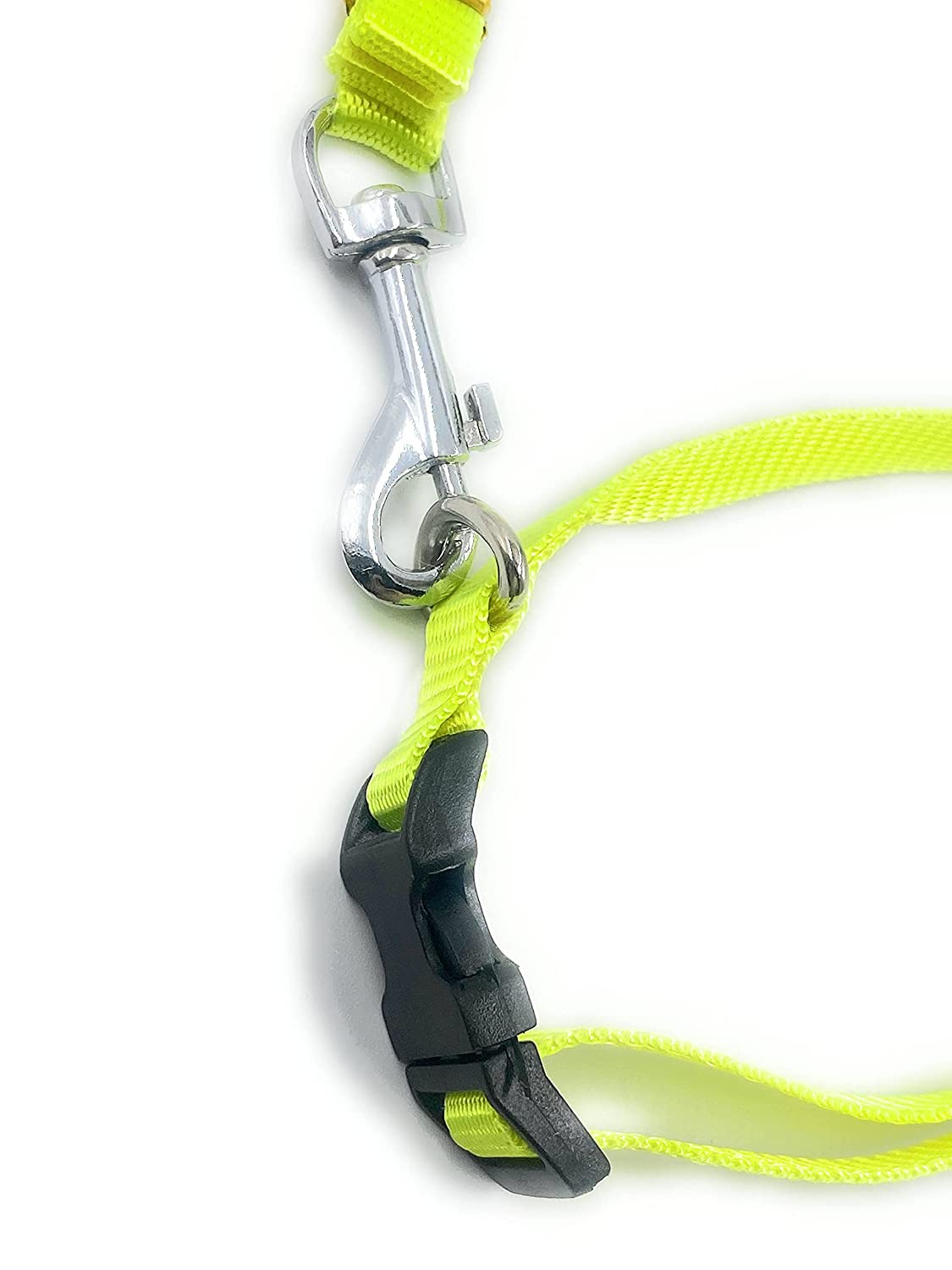 Dog Collar with Leash Half inch neon Color (Grey) - Image 4