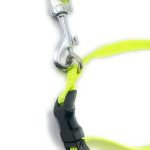 Dog Collar with Leash Half inch neon Color (Green)