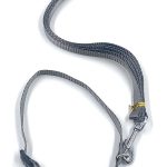 Dog Collar with Leash Half inch neon Color (Grey)