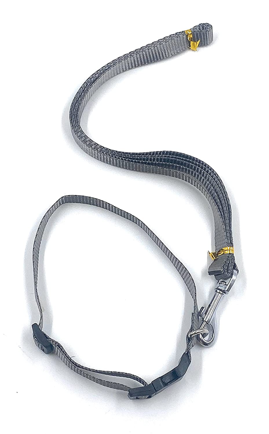 Dog Collar with Leash Half inch neon Color (Green) - Image 8