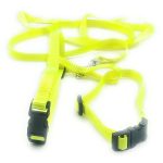 Dog Harness with Leash (Green)