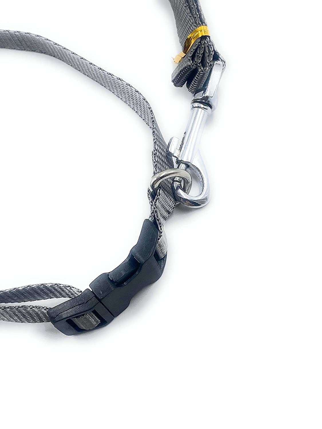 Dog Collar with Leash Half inch neon Color (Grey) - Image 2