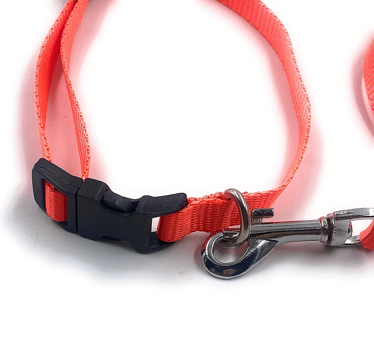 Dog Collar with Leash Half inch neon Color (Grey) - Image 8