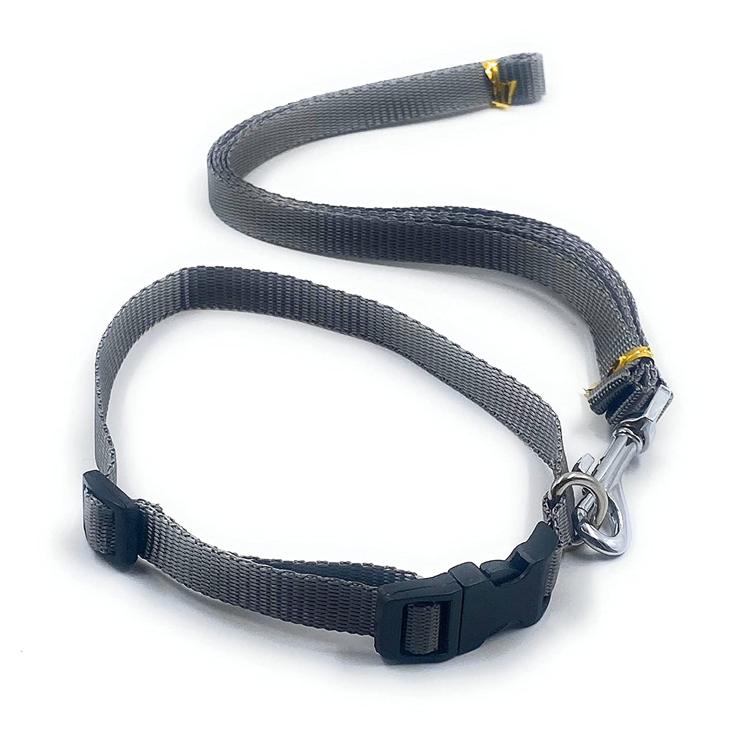 Dog Collar with Leash Half inch neon Color (Green) - Image 4