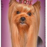 Bio-Groom Silk Creme Rinse Dog Conditioner, 355 ml…