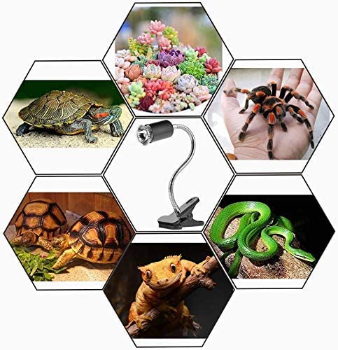 Gorilla pets Reptile Heat Lamp - 50W Uva/Uvb Turtle Basking Light With Holder & Dimmer 1 Bulb Fixture, For Aquarium Tank Tortoises Lizards Uv Light For Turtle Tank, e27 - Image 4