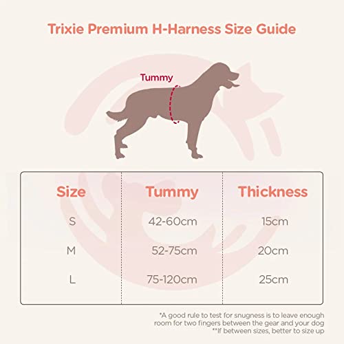 Trixie: – Premium Dog H-Harness | Made Nylon, Lightweight & Adjustable Straps | Two Snap Buckles on The Belly Strap to Easily Slip Around The Body – (75–120 cm/25 mm, L–XL), Papaya…