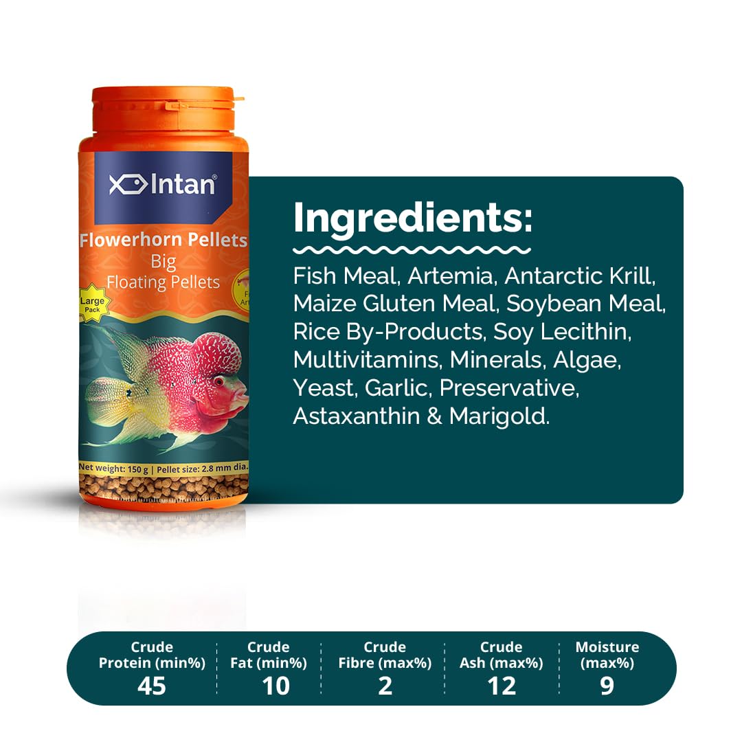 Aquatic Intan Flower Horn Pellets for Fish | Aquarium Fish Food Big Floating Pellets for All Life Stages Fishes | Daily Nutrition Fish Feed for Health & Growth | Large Pack Pellet 150 Gm, 2.8 mm Dia - Image 4