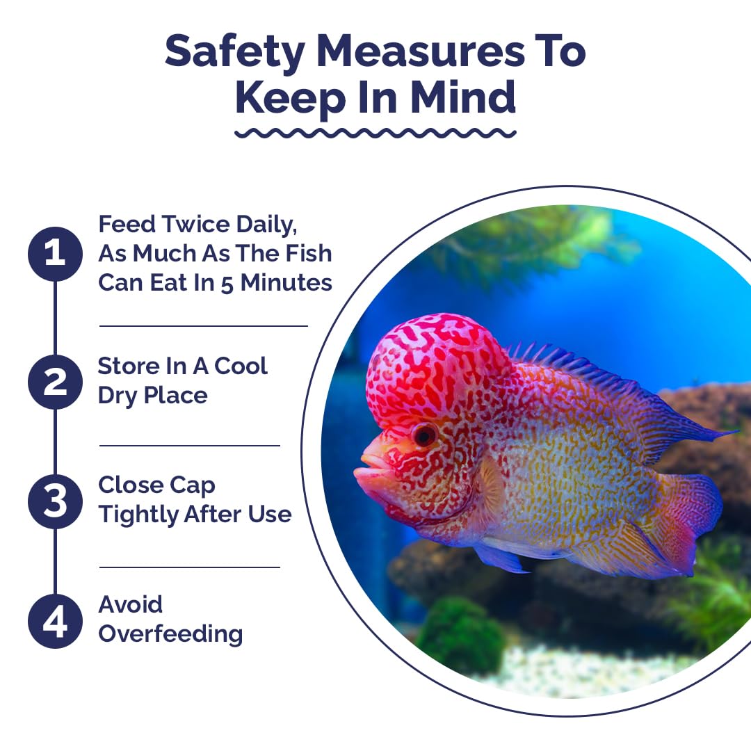 Aquatic Intan Flower Horn Pellets for Fish | Aquarium Fish Food Big Floating Pellets for All Life Stages Fishes | Daily Nutrition Fish Feed for Health & Growth | Large Pack Pellet 150 Gm, 2.8 mm Dia - Image 3