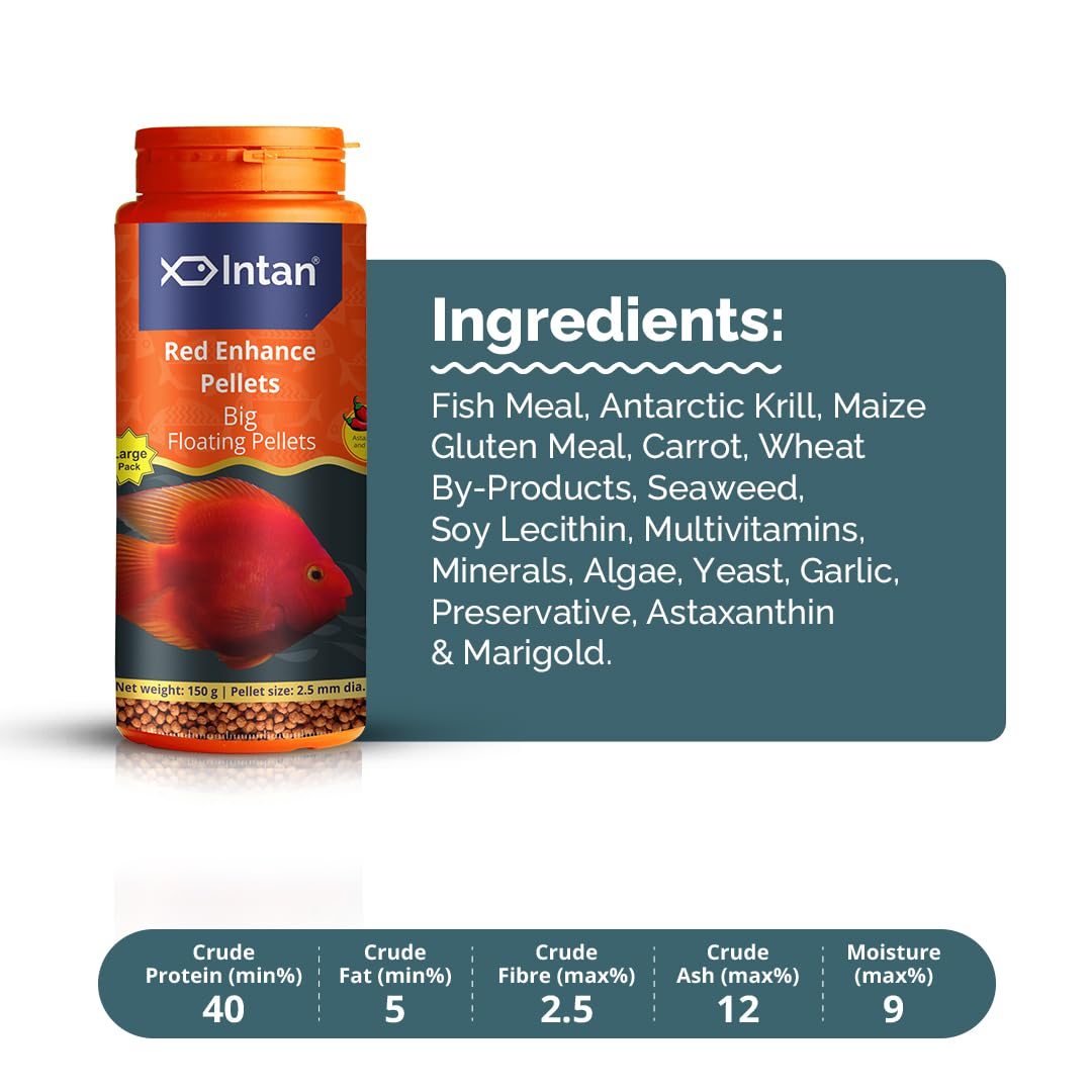 Intan Growel Red Enhance Pellets (Big 2.5Mm Floating) | 150Gm - Highly Nutritious Ornamental Fish Food for Parrotfish & Red Coloured Fish for All Life Stages - Image 4