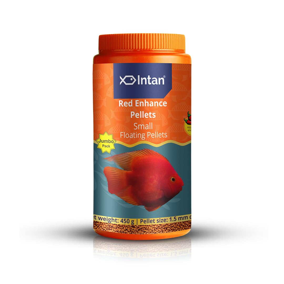 Intan Growel Red Enhance Pellets (Small 1.5Mm Floating) | 450Gm – Highly Nutritious Ornamental Fish Food for Parrotfish & Red Coloured Fish