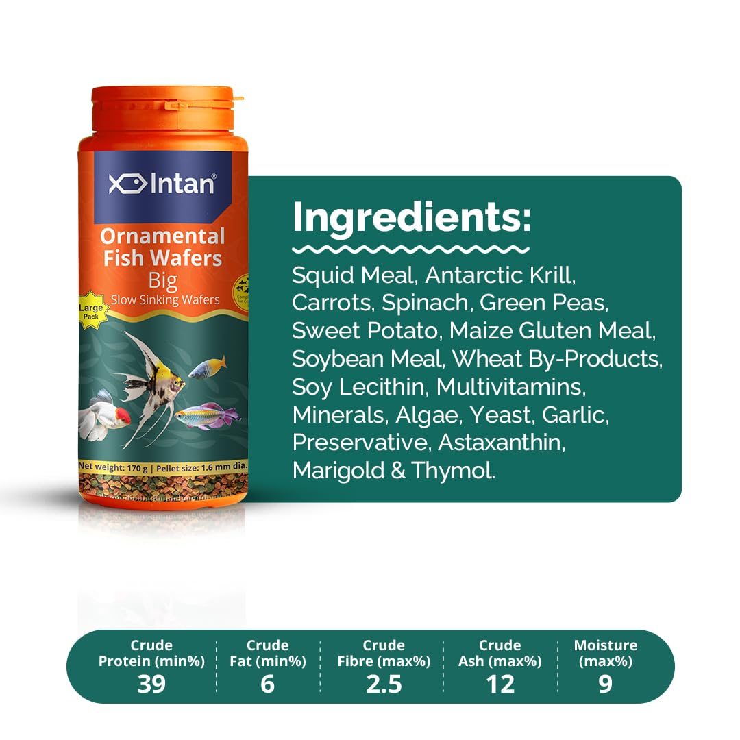 Growel Intan Ornamental Fish Wafers (Big 1.6mm Slow Sinking) | 170gm - Highly Nutritious Ornamental Fish Food for Angels, Gouramis, Goldfish, Barbs & Rainbows - Image 4