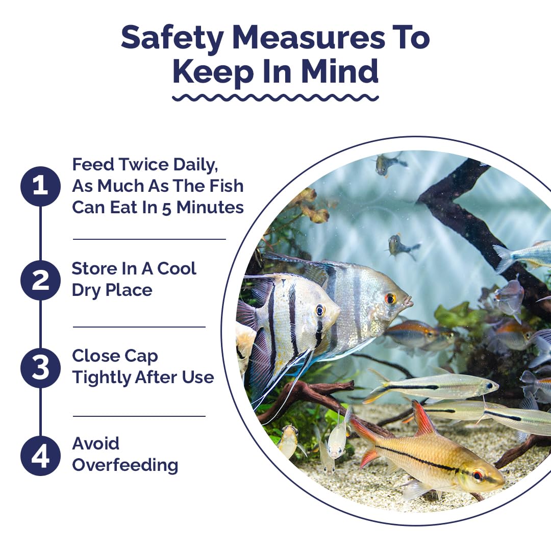 Growel Intan Ornamental Fish Wafers (Big 1.6mm Slow Sinking) | 170gm - Highly Nutritious Ornamental Fish Food for Angels, Gouramis, Goldfish, Barbs & Rainbows - Image 2