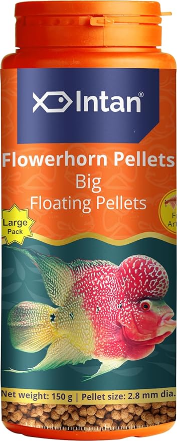 Aquatic Intan Flower Horn Pellets for Fish | Aquarium Fish Food Big Floating Pellets for All Life Stages Fishes | Daily Nutrition Fish Feed for Health & Growth | Large Pack Pellet 150 Gm, 2.8 mm Dia