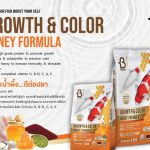 Boost Super Premium Koi Fish Food with Astaxanthin, Vitamins D,B12,C,A,E for Growth & Color Honey Formula Large Pellet 1.5kg