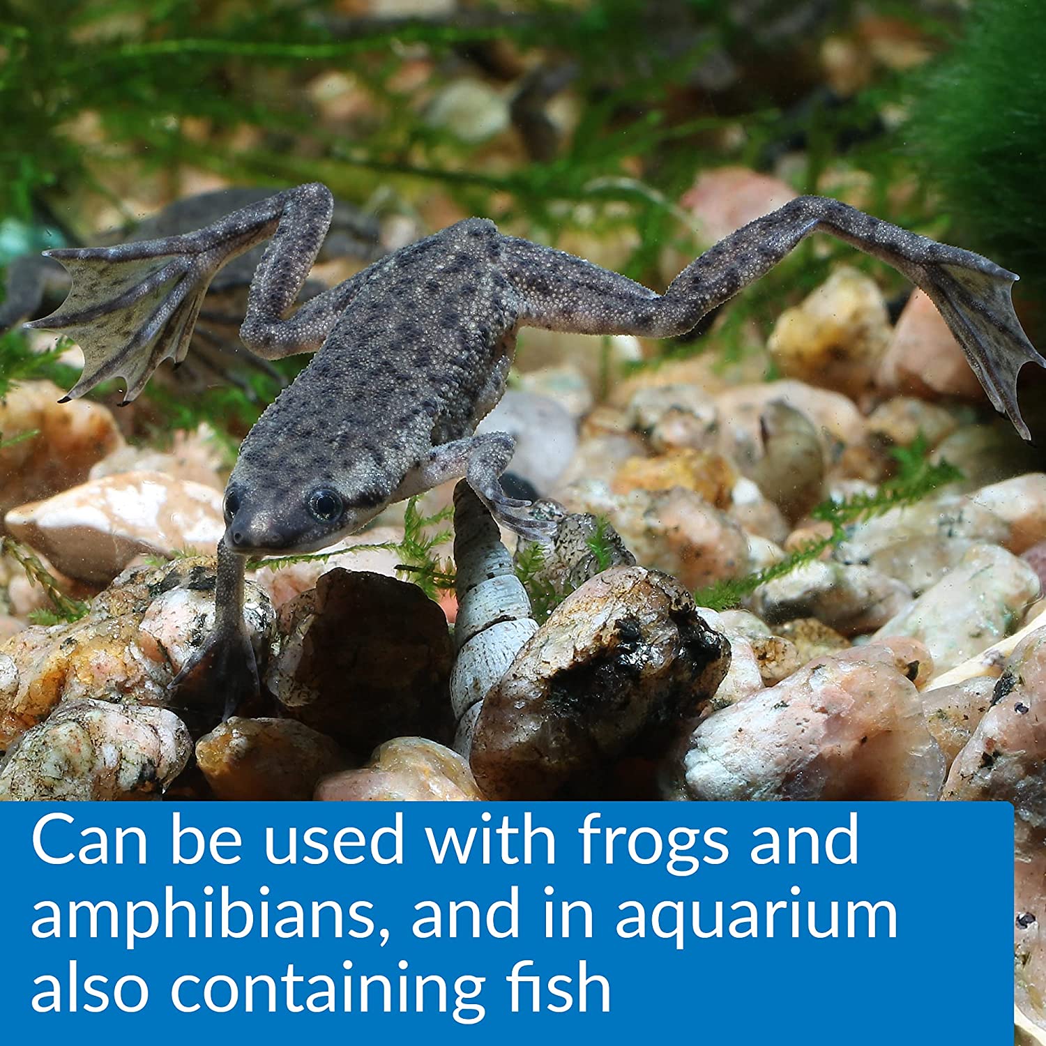 API Turtle Water Conditioner, 237 ml - Image 3