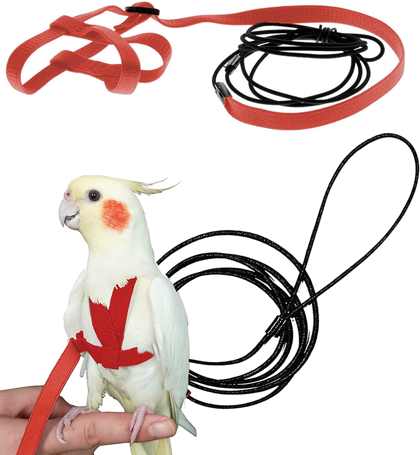 Bird Leash, Adjustable, Soft Anti-Bite Harness Leash, Suitable for Grey Parrot & Umbrella Cockatoo, for Outdoor Purpose colour may vary