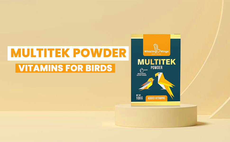 Multitek Powder 100gm - Image 5