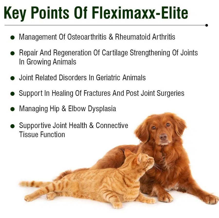 Fleximaxx Elite 15 tabs for dogs & cats - Image 3