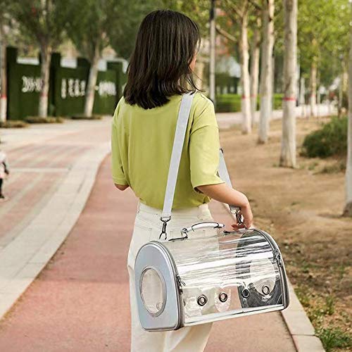 Gorilla pets Dog cat pet Carrier Transparent Plastic Airline Pet Carrier (Suitable for Dog, Cat) - Image 11