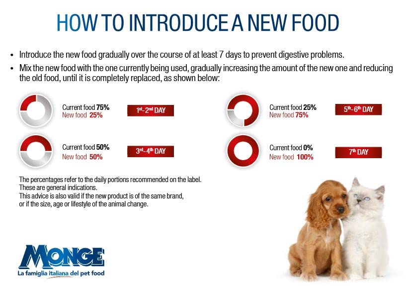 B-Wild Grain Free Adult All Breeds Anchovies with Potatoes and Peas for Dogs 12kg - Image 3