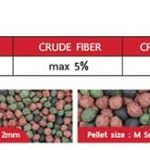 Sakura Gold Super Premium Fish Food with Vitamin Complexes + Krill & Astaxanthin in Medium 4mm Pellet 500gm