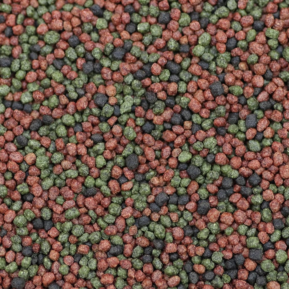 Sakura Gold Super Premium Fish Food with Vitamin Complexes + Krill & Astaxanthin in Small 2mm Pellet 2Kg - Image 4