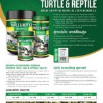 Sakura Super Premium Speacial Food for Turtle & Reptile with Vitamin D3, High Calcium & Probiotic Stick Pellet (M) 300gm