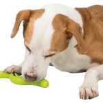 TRIXIE Snack Thermoplastic Rubber Snake Pet Toy -42 cm