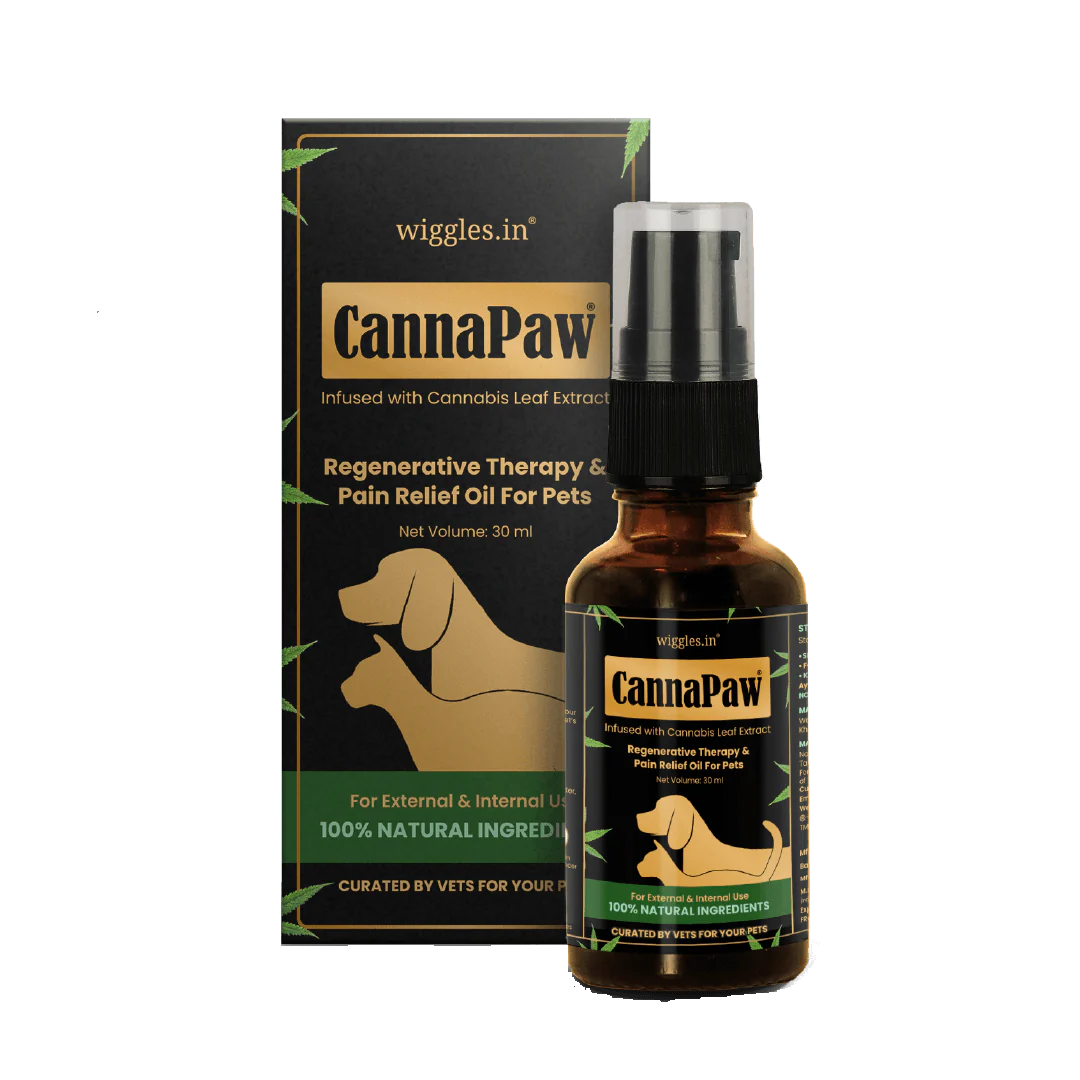 CannaPaw Oil, Vijaya Leaf Extract, Hemp Oil, Regenerative Therapy & Pain Relief Oil for Pets, 30ml