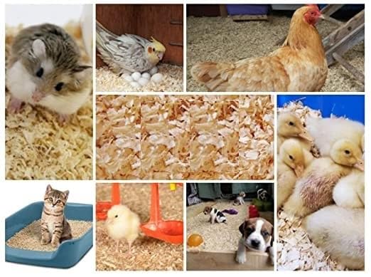 Gorilla pets Dust Less Pine Wood Shavings, Bedding Grass for Hamster, Bird, Chinchillas, Guinea Pig, Mice, Rabbit, Reptiles & Small Animals| Cozy Nesting Material for Birds - 1 Kg - Image 8